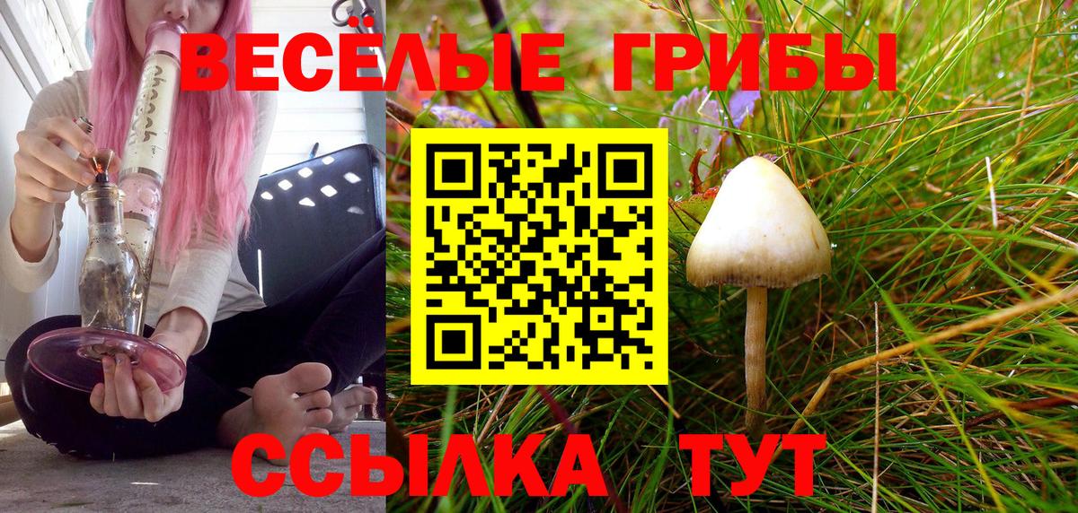 Галлюциногенные грибы Psilocybine cubensis  Псилоцибиновые грибы мухоморы  Вход с VPN  Калач-на-Дону 